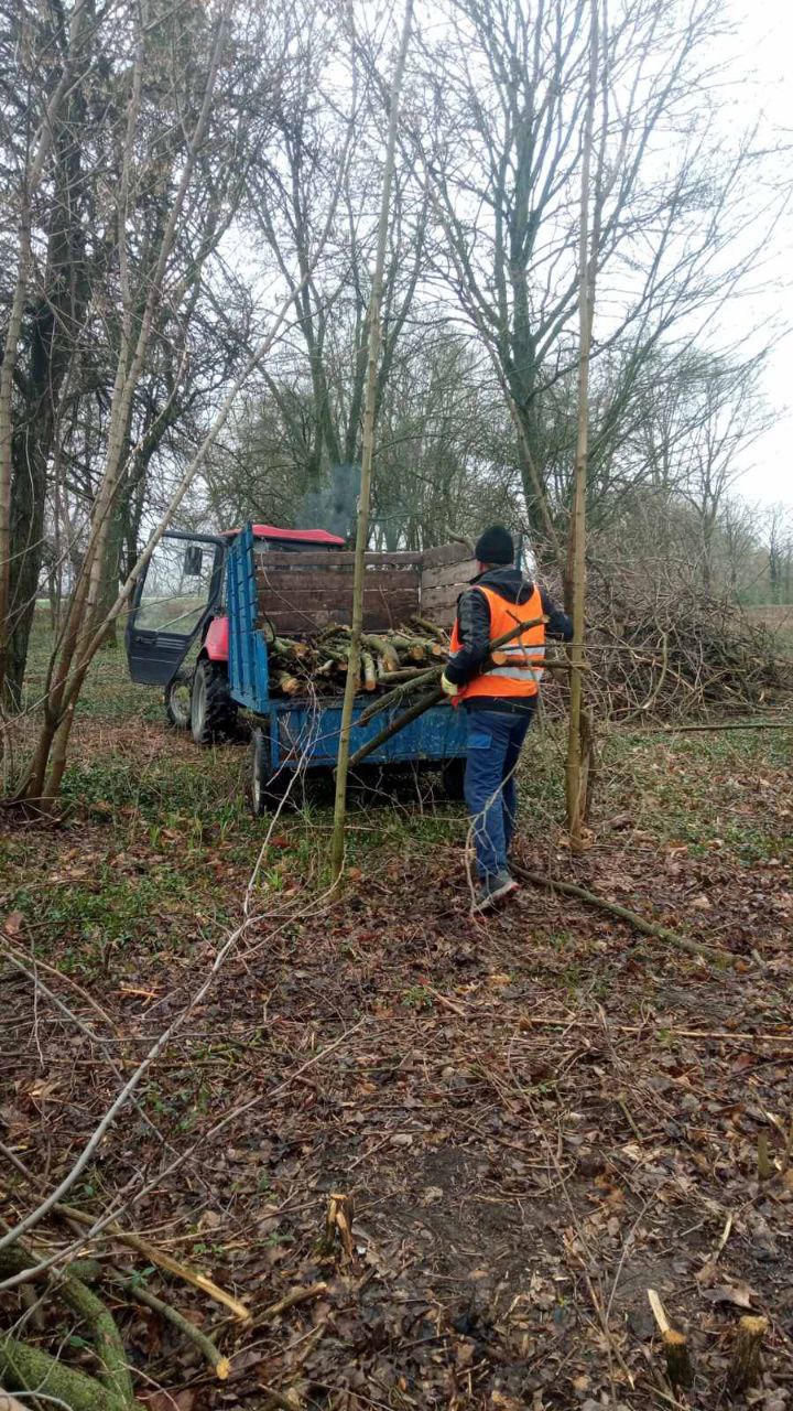 Дібрівка-Обрій